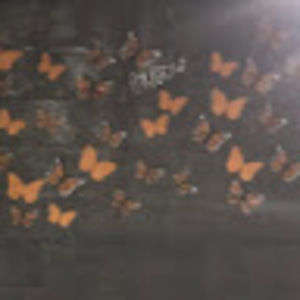 Meet your Posher, Kathryn